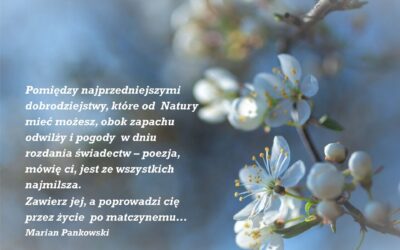 Wiosna i Poezja – lubimy to!